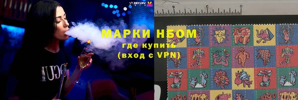 шишки Арсеньев