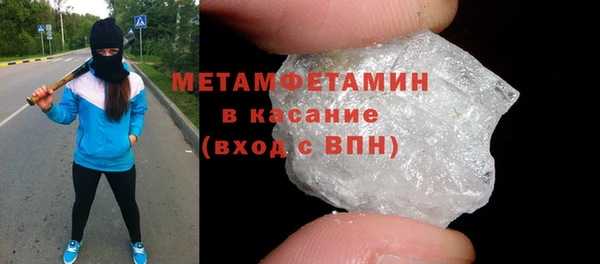 прущие грибы Аркадак
