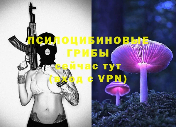 прущие грибы Аркадак
