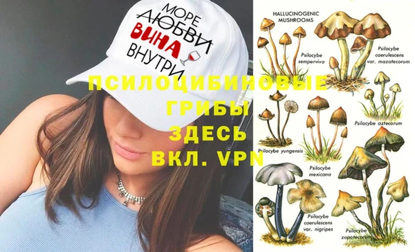 прущие грибы Аркадак
