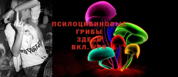 шишки Арсеньев