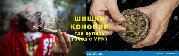 шишки Арсеньев