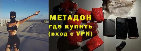 шишки Арсеньев