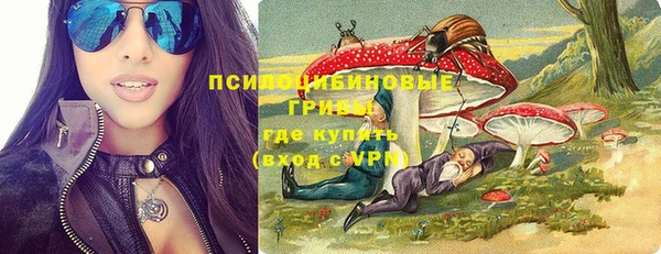 прущие грибы Аркадак