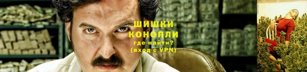 прущие грибы Аркадак