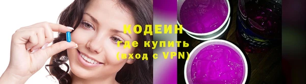 прущие грибы Аркадак