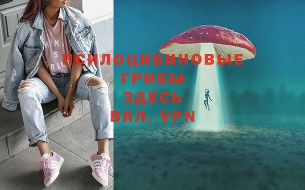 гидра Армянск