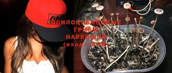шишки Арсеньев