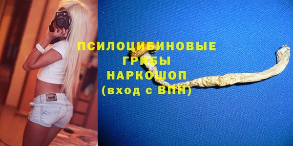 прущие грибы Аркадак